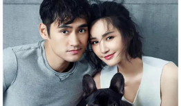 娱乐圈吃瓜爆料文字,揭秘明星背后的秘密与八卦